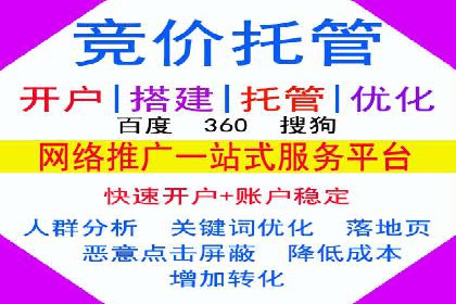 SEM搜索引擎优化成功案例，揭示优化策略与技巧